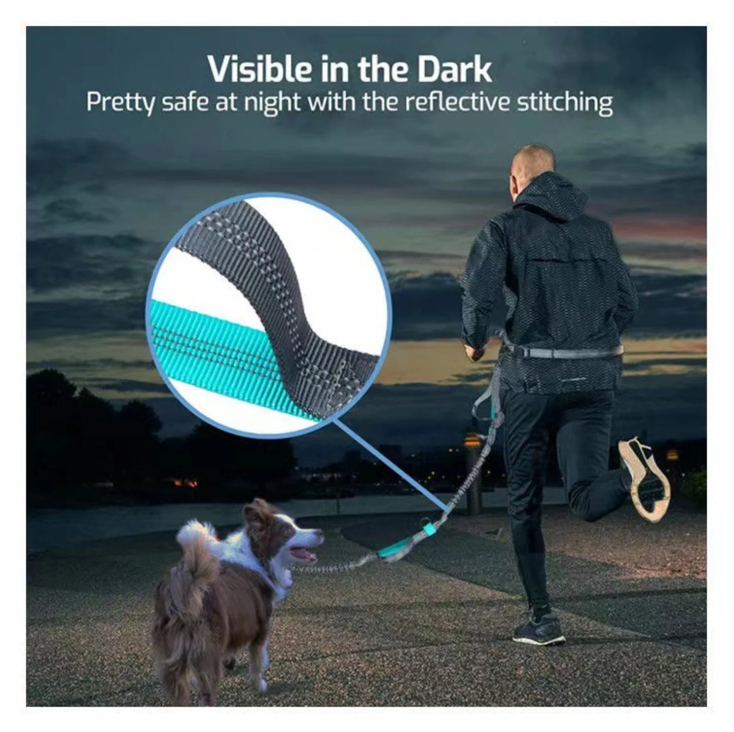 Reflective Dog Leash - Night Visible, Safe for Evening Walks & Runs