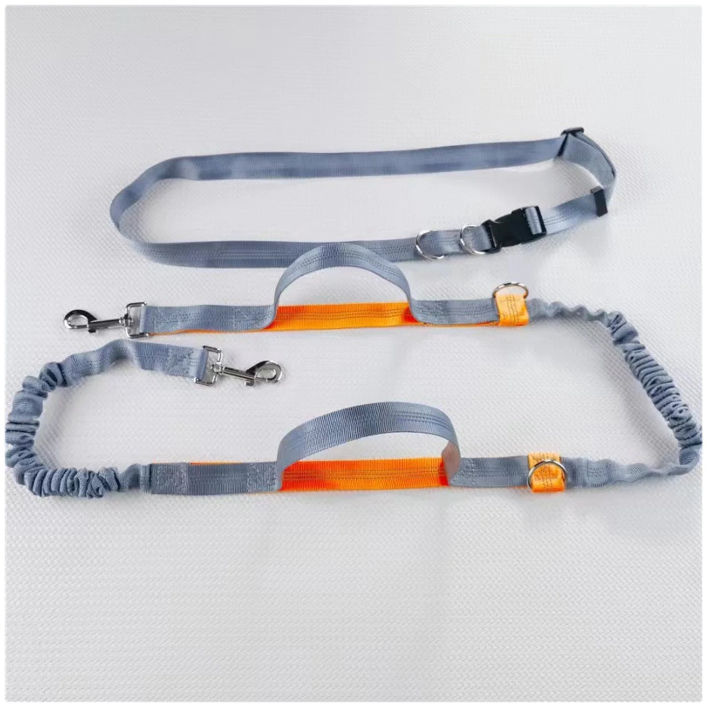 Reflective Dog Leash - Night Visible, Safe for Evening Walks & Runs