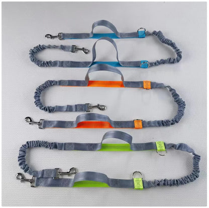 Reflective Dog Leash - Night Visible, Safe for Evening Walks & Runs