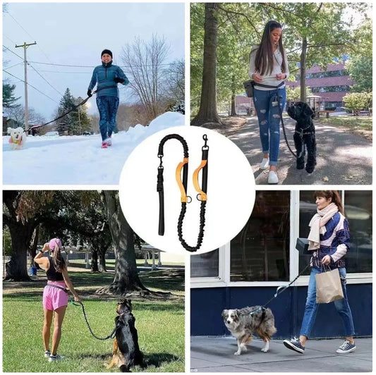 Reflective Dog Leash - Night Visible, Safe for Evening Walks & Runs