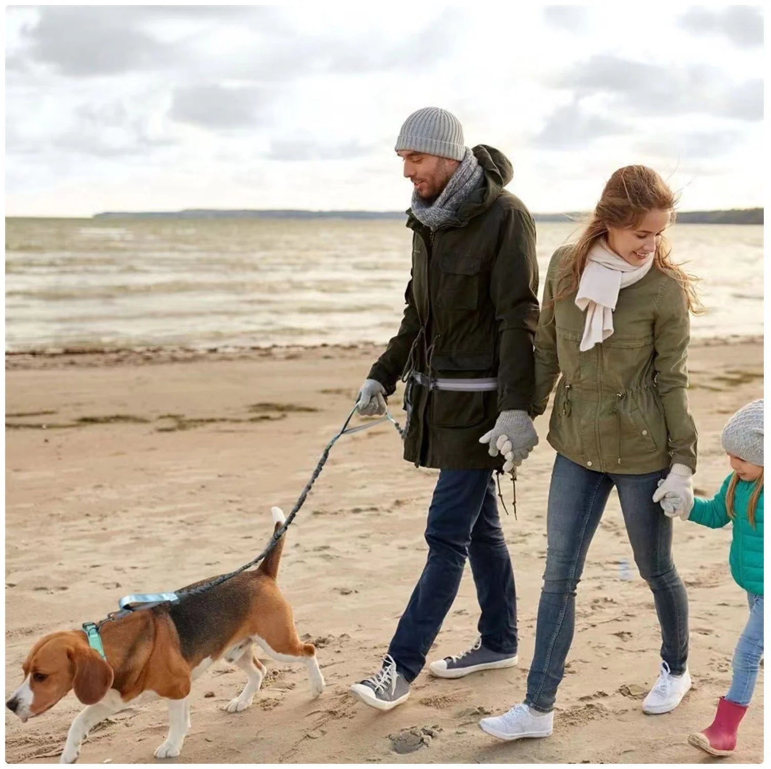 Reflective Dog Leash - Night Visible, Safe for Evening Walks & Runs