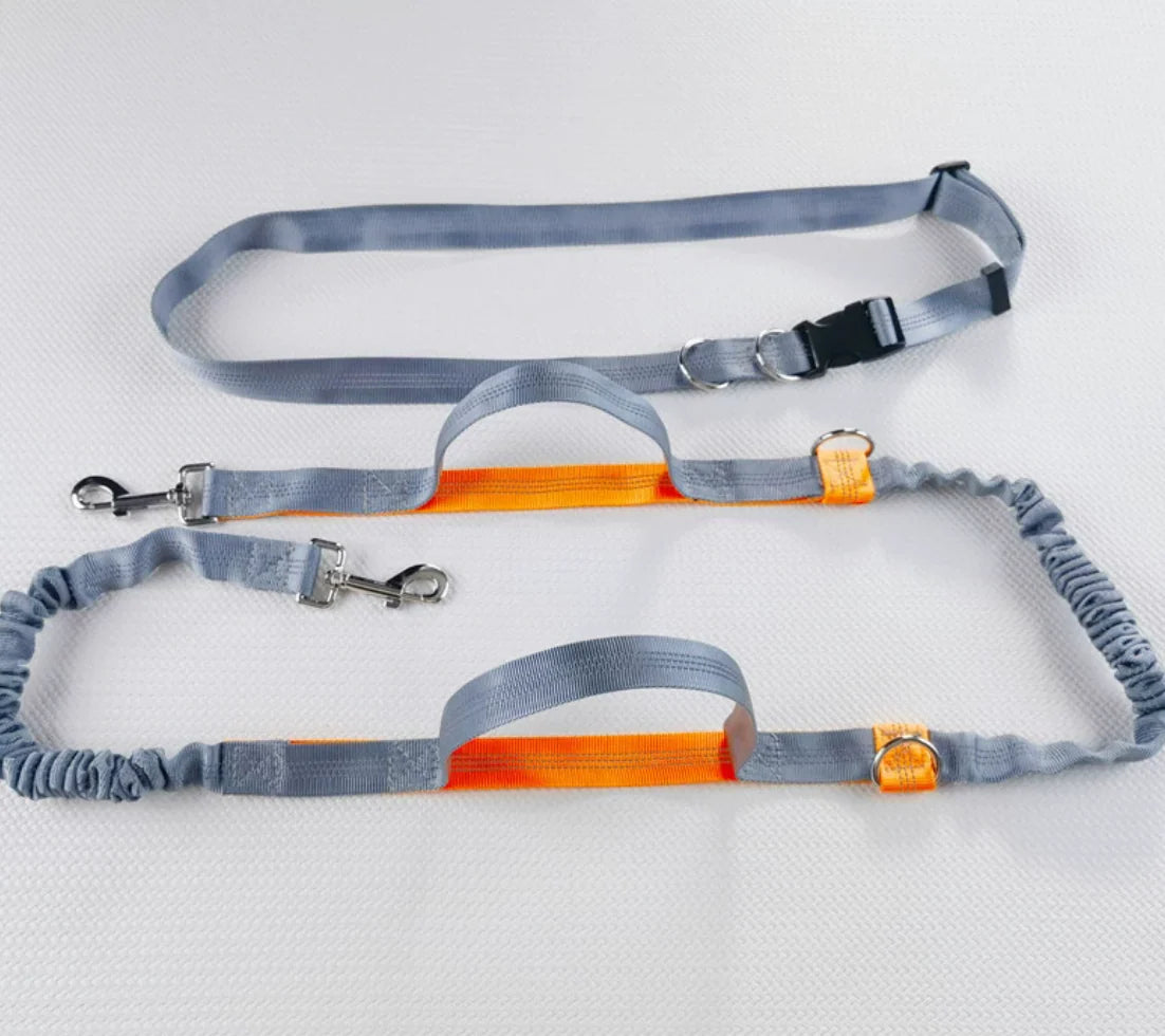 Reflective Dog Leash - Night Visible, Safe for Evening Walks & Runs