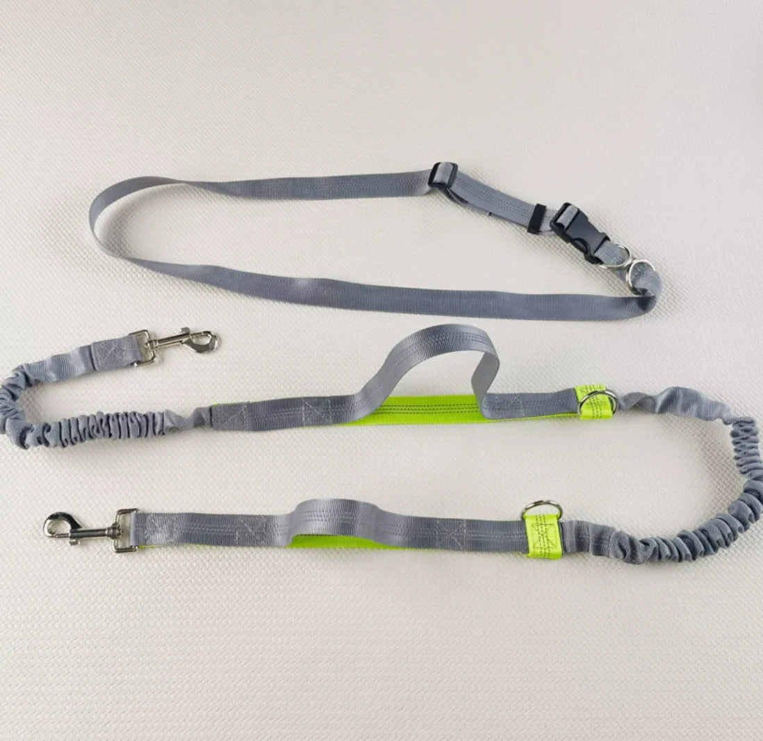 Reflective Dog Leash - Night Visible, Safe for Evening Walks & Runs