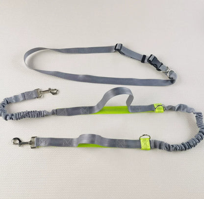 Reflective Dog Leash - Night Visible, Safe for Evening Walks & Runs
