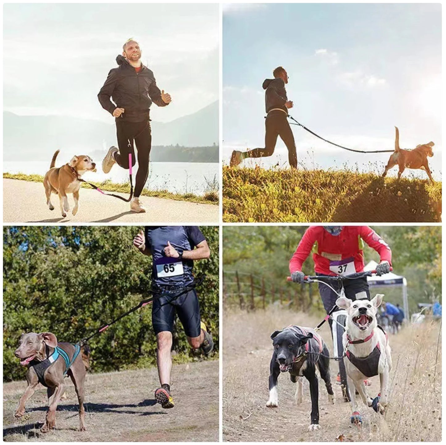 Reflective Dog Leash - Night Visible, Safe for Evening Walks & Runs