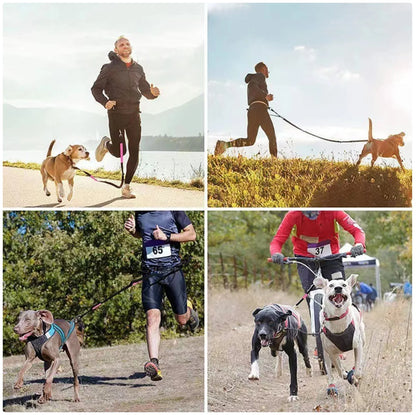 Reflective Dog Leash - Night Visible, Safe for Evening Walks & Runs